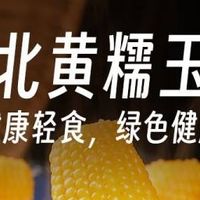 京鲜生东北黄糯玉米棒：舌尖上的东北风情