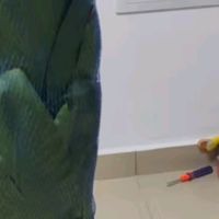 最新优惠