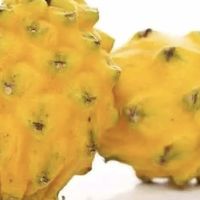 海南燕窝麒麟果：热带水果中的璀璨明珠