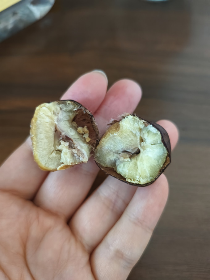 粒上皇其他坚果