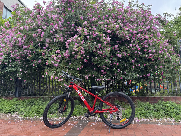 喜德盛儿童山地车 24寸