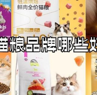 有哪些适合幼猫的猫粮牌子？2025热门性价比高的猫粮排名