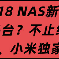 不止绿极，618将发布4-6台NAS？含小米、飞牛独家消息