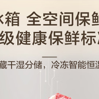 冰箱选对了吗？海尔麦浪505的EPP超净系统，让食材保鲜更久！