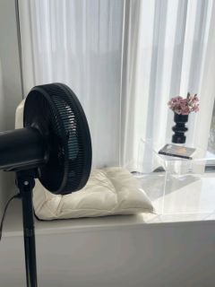 风扇的类型及其特点