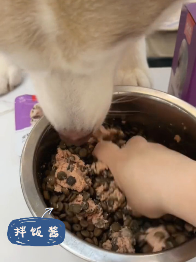 双汇猫犬通用零食
