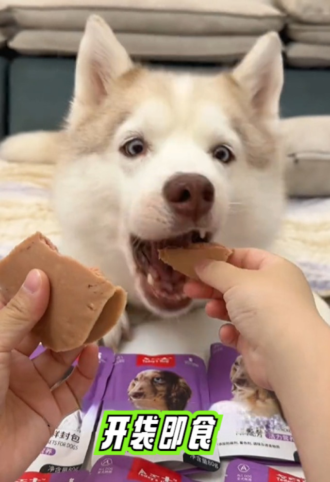 双汇猫犬通用零食