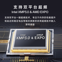 十铨引领者 DDR5 内存条：创作与游戏的强劲助力
