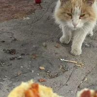 河南云梦山，假期好去处。五一没人，平时别来！