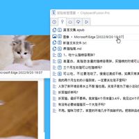 ClipboardFusion，你不知道的神器！