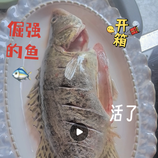 叮咚买菜厨房惊魂：蒸鱼还是追鱼？
