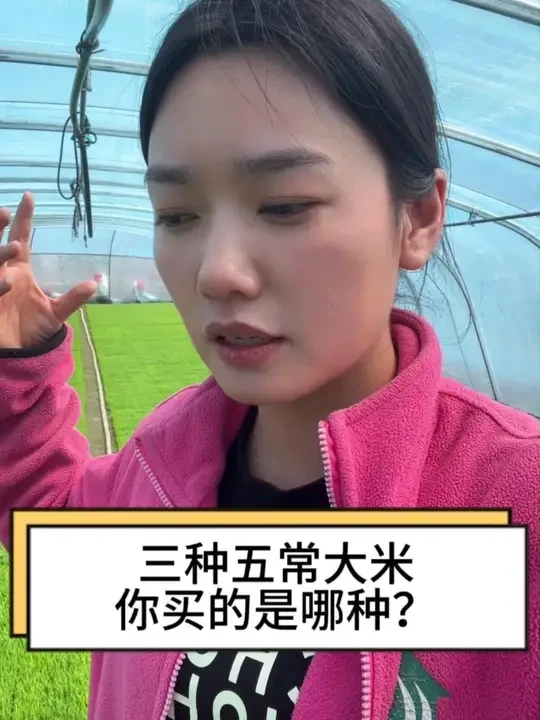你买是哪种大米？#抖音助农 #三农 #五常大米 #五常大米稻花香 #东北大米