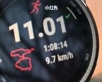 运动与健康：手表监测数据对生活方式的影响