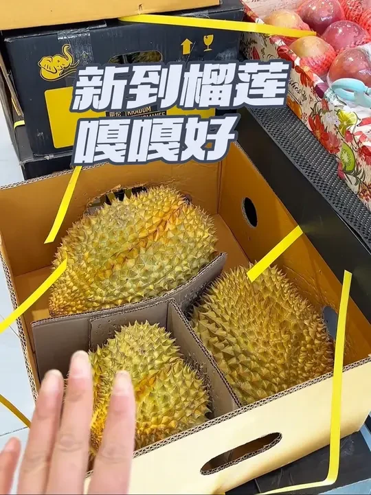 新到榴莲嘎嘎好 凤梨 西瓜 水蜜桃都便宜啦#新鲜应季水果 #同城水果 #奋斗的水果人 #榴莲