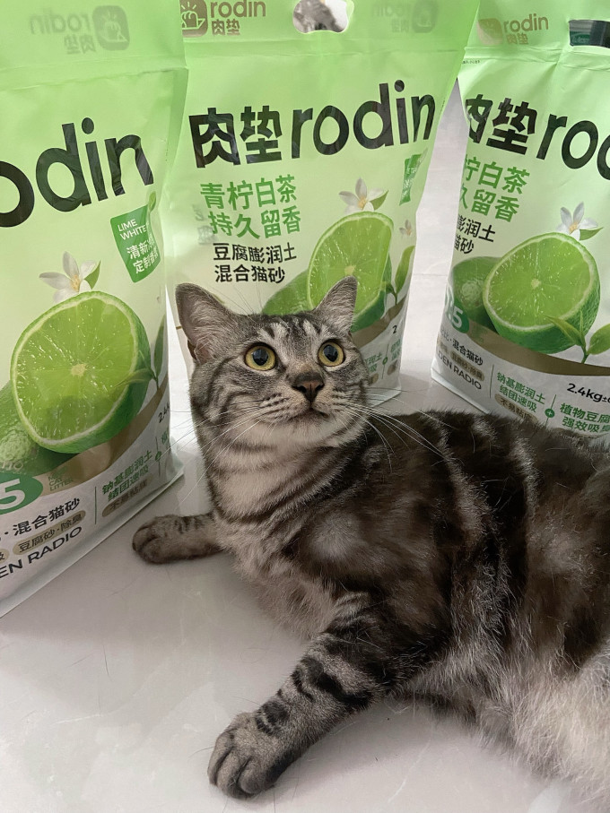 肉垫猫砂