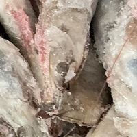 网上买生鲜你踩过哪些坑，网上买生鲜的五大常见陷阱及避坑指南