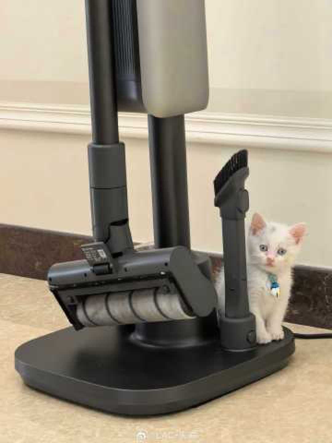 小米无线吸尘器3基站版:解放双手的猫毛克星,智能清洁重塑养宠幸福感
