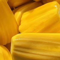 爱吃菠萝蜜的童鞋看过来，教你如何轻松处理整个菠萝蜜