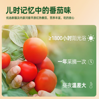 屯河旗舰店——中粮屯河番茄酱198g*6罐头：厨房里的新疆红宝石