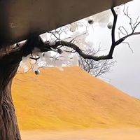 美赞臣铂睿2段奶粉，品质之选，值得信赖。