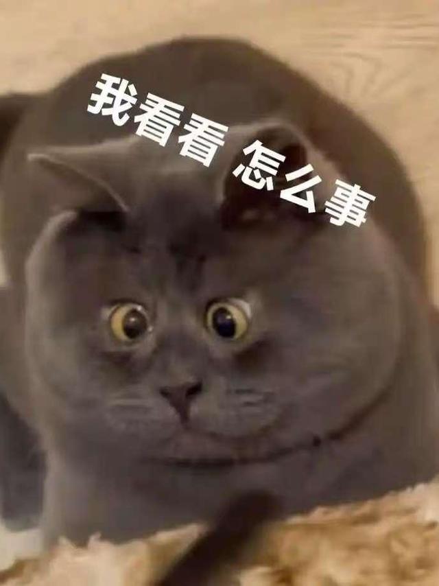 天猫618国补抢先购已现货开抢，今年618天猫的「国补抢先购」买空调、手机、电脑真比日常价便宜一半吗？