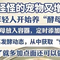 养酵母当宠物！不拆家不用遛，好打理又省心！