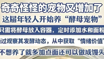 养酵母当宠物！不拆家不用遛，好打理又省心！