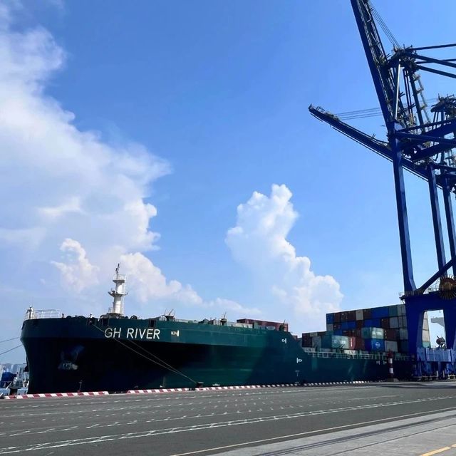 海南打通进口香化产品海运直达通道