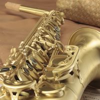 初学者怎么选择萨克斯？从哪几个方面选？