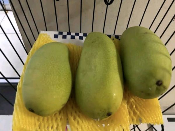 京鲜生海南金煌芒：巨无霸果，鲜美多汁，源头直发