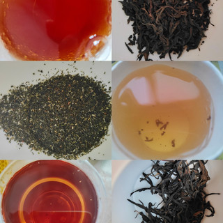 以茶会友第七季——五月份新喝到好茶之二！