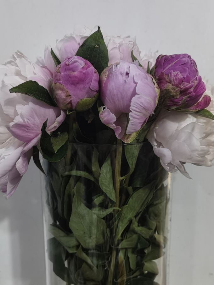 鲜花