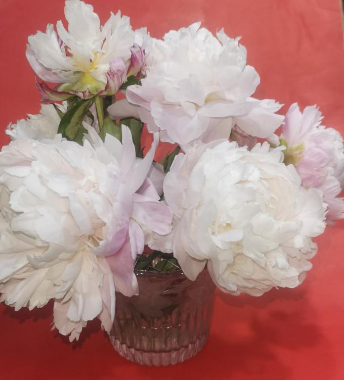 鲜花