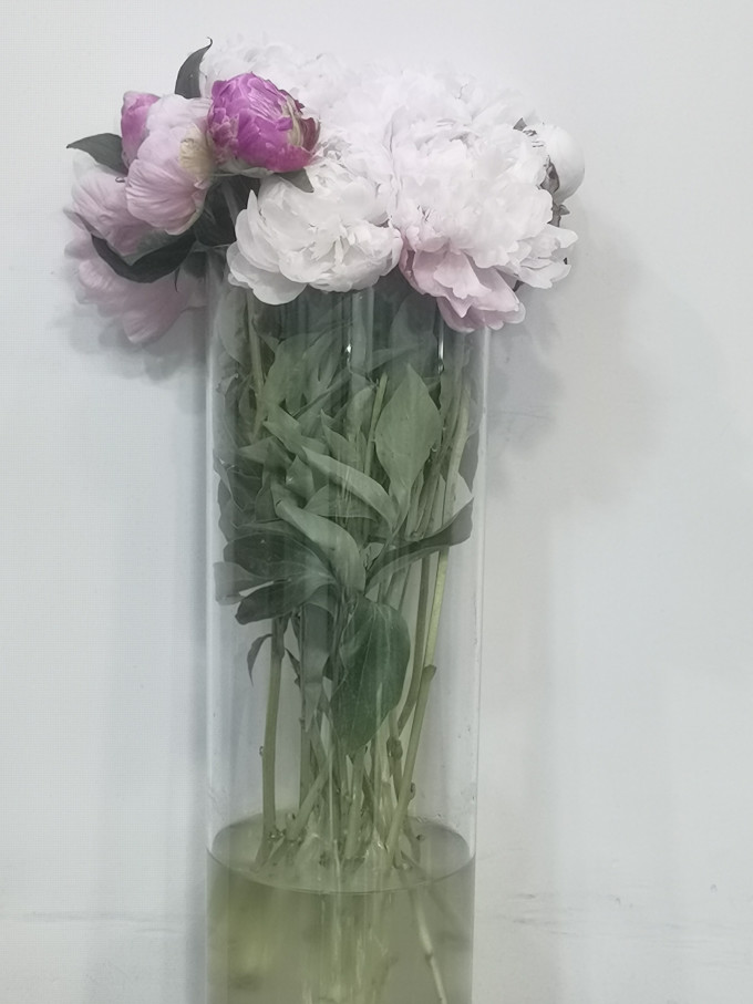 鲜花