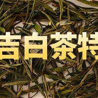 安吉白茶的口感和香味特点有哪些？性价比高的品牌推荐