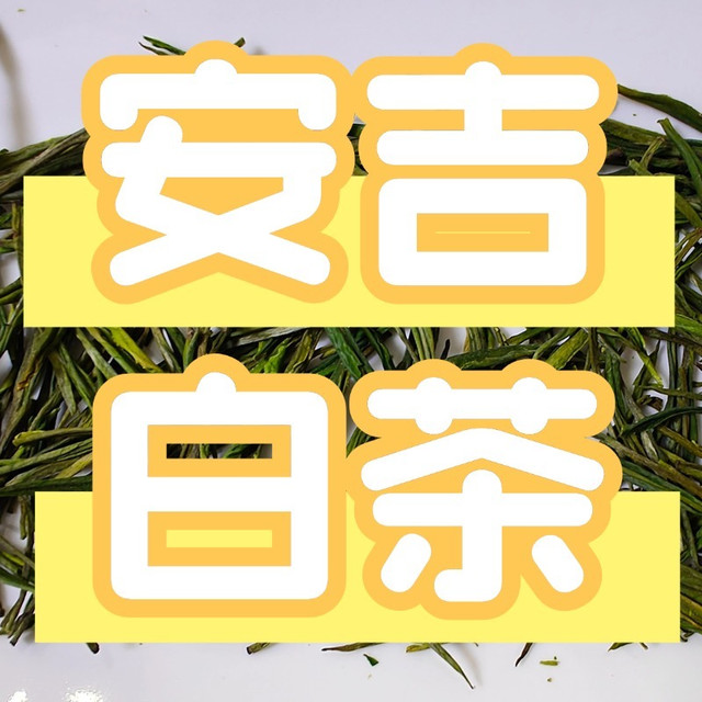 安吉白茶的口感和香味特点有哪些？性价比高的品牌推荐