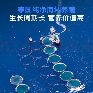 2斤装泰国黑虎虾，肉质紧实鲜甜
