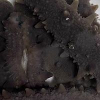 网购生鲜平台选择指南