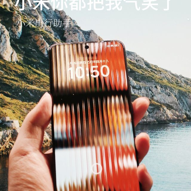 小米 你都给我气笑了
