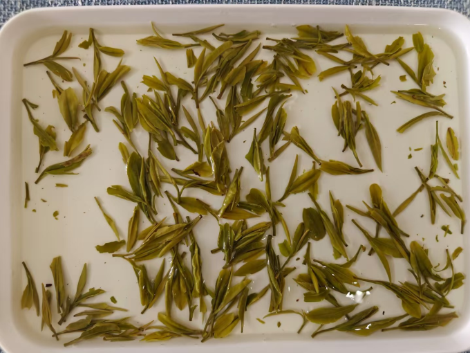 阿中家的茶绿茶