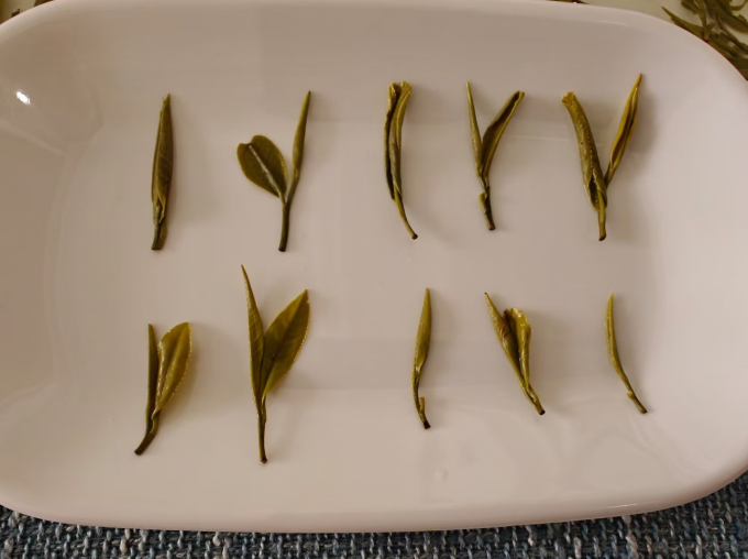阿中家的茶绿茶