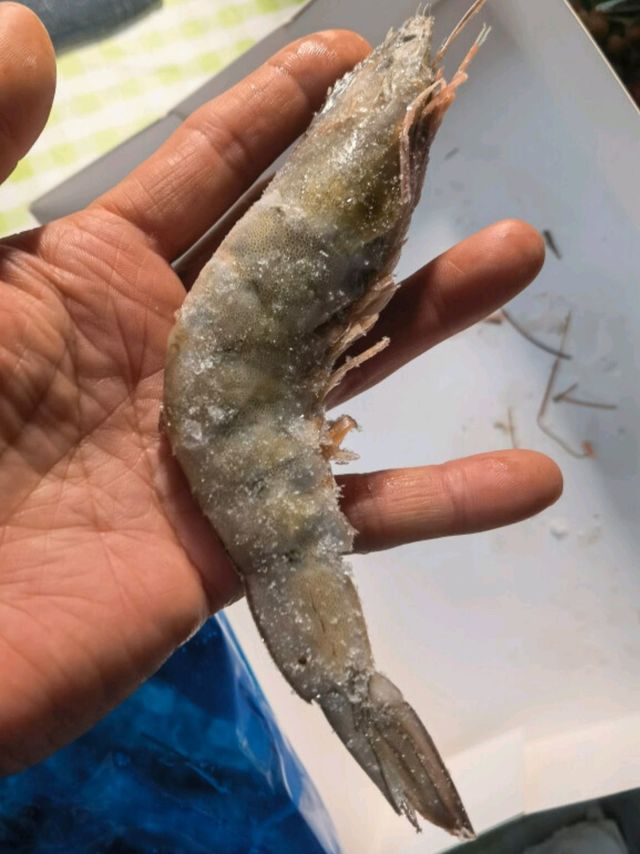 禧美海产  国产大虾 无冰净重400g/盒 22-27只 白虾