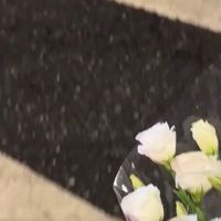 探索神牛闪光灯的奥秘。