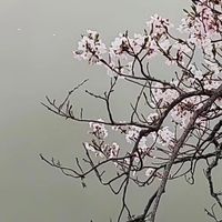 美津浓预言系列：胖子跑步者的福音！