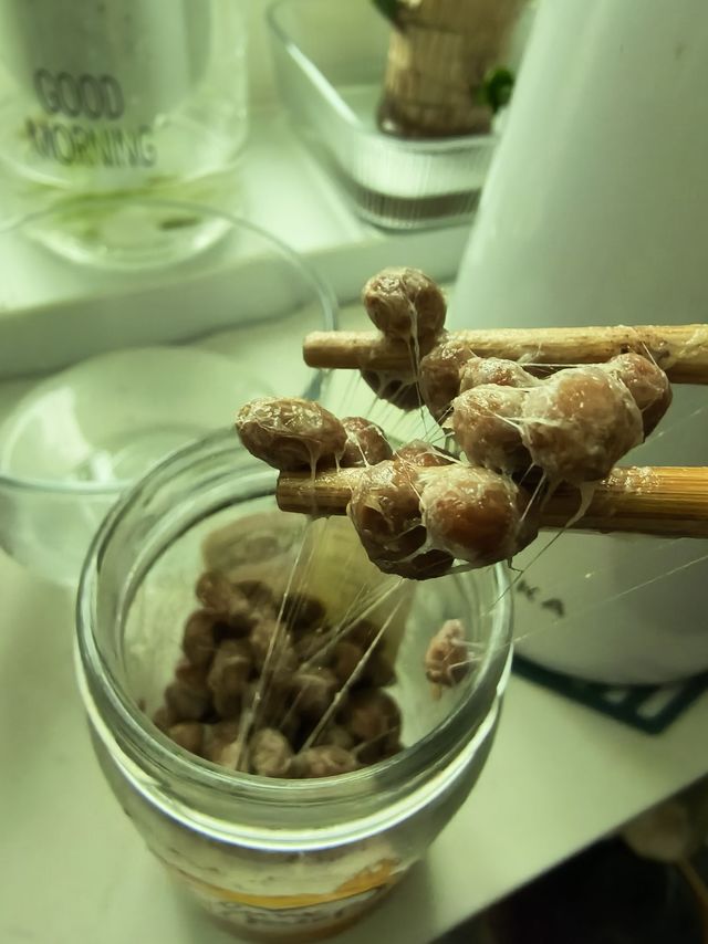 别人养宠我养菌，原来做纳豆这么便宜