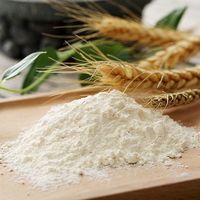 最新优惠
