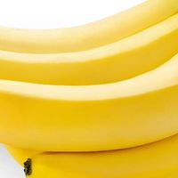 香蕉选用保存小常识