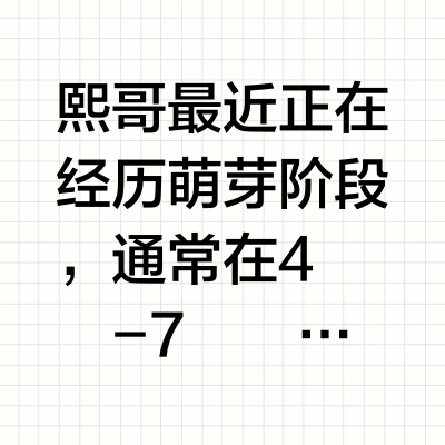 好物分享｜萌芽期熙哥爱用合集