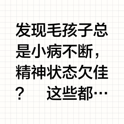 如何提升毛孩子免疫力（详细版）