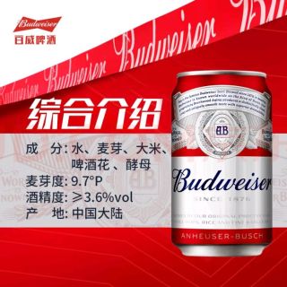 百威啤酒陪我一起过夏天